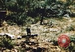 Immagine di American aviatori Corsica Italia, 1944, secondo 60 filmato di repertorio 65675066631