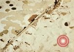Image of P-47 Thunderbolt aircraft Italy, 1944, second 23 stock footage video 65675066632