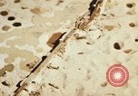 Image of P-47 Thunderbolt aircraft Italy, 1944, second 24 stock footage video 65675066632