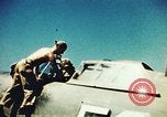 Immagine di P-47 velivoli Thunderbolt Italia, 1944, secondo 25 filmato di repertorio 65675066633