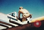 Immagine di P-47 velivoli Thunderbolt Italia, 1944, secondo 35 filmato di repertorio 65675066633