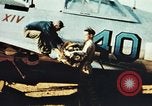 Immagine di P-47 velivoli Thunderbolt Italia, 1944, secondo 36 filmato di repertorio 65675066633