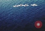 Image of P-47 Thunderbolt aircraft Italy, 1944, second 29 stock footage video 65675066635