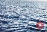 Image of P-47 Thunderbolt aircraft Italy, 1944, second 35 stock footage video 65675066635