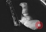 Immagine di Equipaggio giapponese Oceano indiano, 1942, secondo 55 filmato di repertorio 65675066679