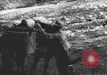 Standbild deutsche Soldaten europäische Theater, 1941, aus Sekunde 46 historischem Filmmaterial Videoclip 65675066689
