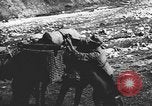 Standbild deutsche Soldaten europäische Theater, 1941, aus Sekunde 47 historischem Filmmaterial Videoclip 65675066689