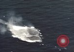 Standbild japanischen U-Boot Pazifik, 1946, aus Sekunde 27 historischem Filmmaterial Videoclip 65675066693