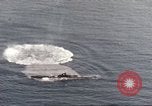 Standbild Die japanischen U-Boot versenkt in Betrieb Kreuzung Pazifischer Ozean, 1946, aus Sekunde 5 historischem Filmmaterial Videoclip 65675066704