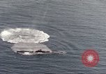 Standbild Die japanischen U-Boot versenkt in Betrieb Kreuzung Pazifischer Ozean, 1946, aus Sekunde 7 historischem Filmmaterial Videoclip 65675066704