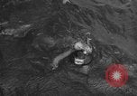 Standbild USS Aktuelle Oahu Hawaii USA, 1960, aus Sekunde 53 historischem Filmmaterial Videoclip 65675066716