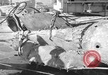 Standbild japanischen U-Boot Oahu Hawaii USA, 1960, aus Sekunde 31 historischem Filmmaterial Videoclip 65675066718