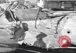 Standbild japanischen U-Boot Oahu Hawaii USA, 1960, aus Sekunde 32 historischem Filmmaterial Videoclip 65675066718