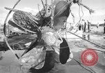 Standbild japanischen U-Boot Oahu Hawaii USA, 1960, aus Sekunde 39 historischem Filmmaterial Videoclip 65675066718