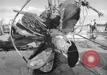 Standbild japanischen U-Boot Oahu Hawaii USA, 1960, aus Sekunde 44 historischem Filmmaterial Videoclip 65675066718