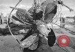 Standbild japanischen U-Boot Oahu Hawaii USA, 1960, aus Sekunde 45 historischem Filmmaterial Videoclip 65675066718