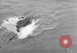 Image of USS Ortolan Pacific Ocean, 1943, second 8 stock footage video 65675066730