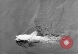 Image of USS Ortolan Pacific Ocean, 1943, second 10 stock footage video 65675066730