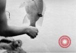 Image of USS Ortolan Pacific Ocean, 1943, second 12 stock footage video 65675066730