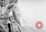 Image of USS Ortolan Pacific Ocean, 1943, second 15 stock footage video 65675066730