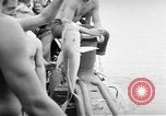 Image of USS Ortolan Pacific Ocean, 1943, second 17 stock footage video 65675066730
