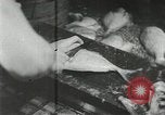 Image of Japanese submarine Pacific Ocean, 1943, second 10 stock footage video 65675066732