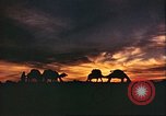 Image of Camel caravan silhouetted against the sky at dawn Afghanistan, 1960, second 25 stock footage video 65675066733