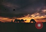 Image of Camel caravan silhouetted against the sky at dawn Afghanistan, 1960, second 27 stock footage video 65675066733