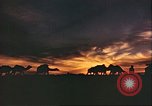 Image of Camel caravan silhouetted against the sky at dawn Afghanistan, 1960, second 40 stock footage video 65675066733