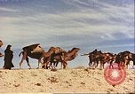 Image of Camel caravan silhouetted against the sky at dawn Afghanistan, 1960, second 45 stock footage video 65675066733