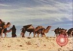 Image of Camel caravan silhouetted against the sky at dawn Afghanistan, 1960, second 46 stock footage video 65675066733