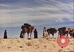 Image of Camel caravan silhouetted against the sky at dawn Afghanistan, 1960, second 50 stock footage video 65675066733