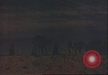Image of Camel caravan silhouetted against the sky at dawn Afghanistan, 1960, second 51 stock footage video 65675066733