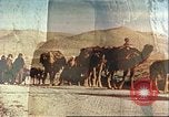 Image Avec des troupeaux nomades afghans Afghanistan, 1960, de la seconde 1 séquences d'archives historiques vidéo 65675066734