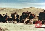 Image Avec des troupeaux nomades afghans Afghanistan, 1960, de la seconde 3 séquences d'archives historiques vidéo 65675066734