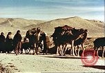 Image Avec des troupeaux nomades afghans Afghanistan, 1960, de la seconde 4 séquences d'archives historiques vidéo 65675066734