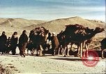 Image Avec des troupeaux nomades afghans Afghanistan, 1960, de la seconde 5 séquences d'archives historiques vidéo 65675066734