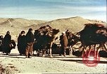 Image Avec des troupeaux nomades afghans Afghanistan, 1960, de la seconde 6 séquences d'archives historiques vidéo 65675066734