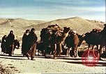 Image Avec des troupeaux nomades afghans Afghanistan, 1960, de la seconde 7 séquences d'archives historiques vidéo 65675066734