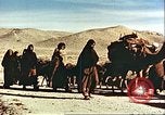 Image Avec des troupeaux nomades afghans Afghanistan, 1960, de la seconde 9 séquences d'archives historiques vidéo 65675066734