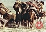 Image Avec des troupeaux nomades afghans Afghanistan, 1960, de la seconde 12 séquences d'archives historiques vidéo 65675066734