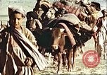 Image Avec des troupeaux nomades afghans Afghanistan, 1960, de la seconde 14 séquences d'archives historiques vidéo 65675066734