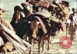 Image Avec des troupeaux nomades afghans Afghanistan, 1960, de la seconde 15 séquences d'archives historiques vidéo 65675066734