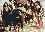 Image Avec des troupeaux nomades afghans Afghanistan, 1960, de la seconde 16 séquences d'archives historiques vidéo 65675066734