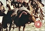 Image Avec des troupeaux nomades afghans Afghanistan, 1960, de la seconde 17 séquences d'archives historiques vidéo 65675066734