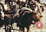 Image Avec des troupeaux nomades afghans Afghanistan, 1960, de la seconde 18 séquences d'archives historiques vidéo 65675066734