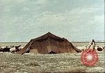 Image Avec des troupeaux nomades afghans Afghanistan, 1960, de la seconde 26 séquences d'archives historiques vidéo 65675066734