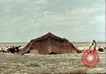 Image Avec des troupeaux nomades afghans Afghanistan, 1960, de la seconde 27 séquences d'archives historiques vidéo 65675066734