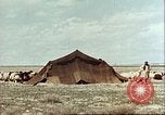 Image Avec des troupeaux nomades afghans Afghanistan, 1960, de la seconde 28 séquences d'archives historiques vidéo 65675066734