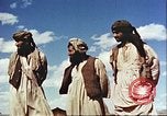 Image Avec des troupeaux nomades afghans Afghanistan, 1960, de la seconde 30 séquences d'archives historiques vidéo 65675066734
